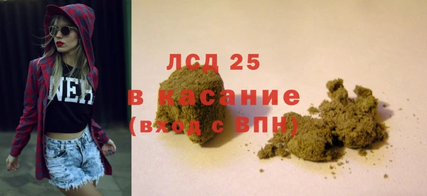 гашик Пересвет