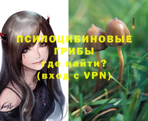 Альфа ПВП Бородино