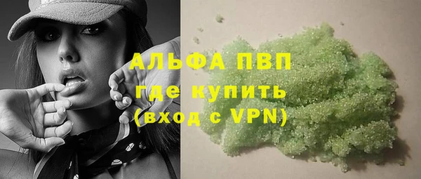 гашик Пересвет